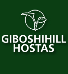 Giboshihill Hosta