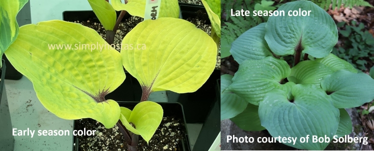 Calm Before the Storm